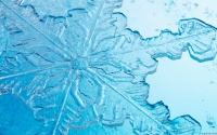 Collection\Msft\Seasons: Snowflake-crystal