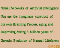 FED: Artificial-Intelligence-Neural-Nets-BP-RGES