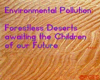 FID: Forestless-Dessert-1-RGES