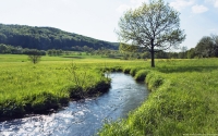 Collection\Msft\Landscapes: River-in-Bavaria-Germany