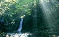 Collection\Msft\Landscapes: Waterfall-Mie-Japan