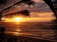 Collection\Nature Portraits: Beach-sunset