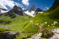 Collection\Nature Portraits: Mountain-springtime